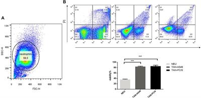 Lung Adenocarcinoma Cells Promote Self-Migration and Self-Invasion by Activating Neutrophils to Upregulate Notch3 Expression of Cancer Cells